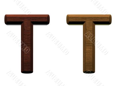 one letter of wooden alphabet.