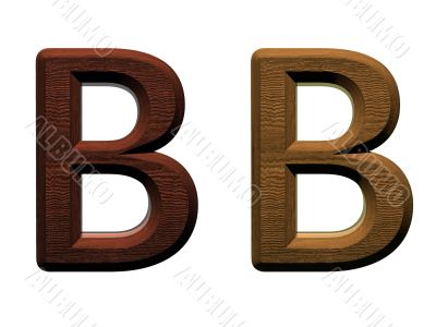 one letter of wooden alphabet.