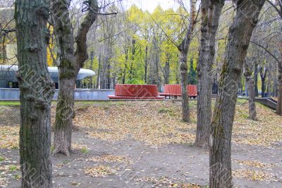 Autumn in the Park