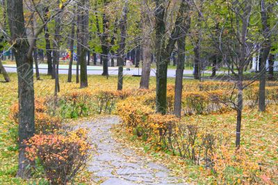 Autumn in the Park