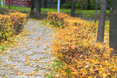 Autumn in the Park