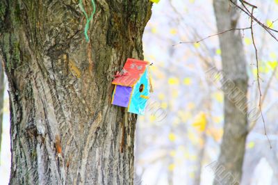 house for the birds