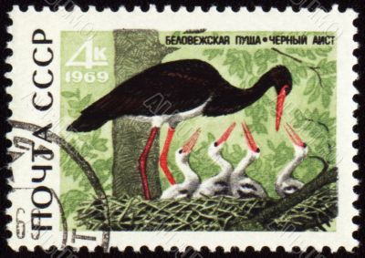 Black stork on post stamp