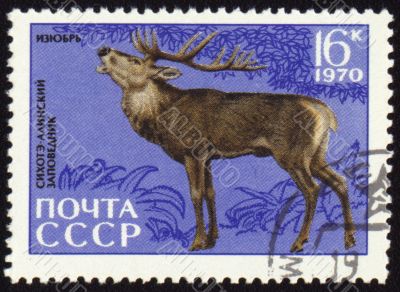 Siberian stag on post stamp