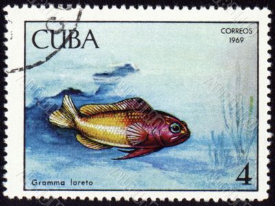 Fish Gramma loreto on post stamp
