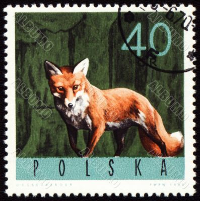 Red fox on post stamp