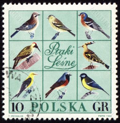 Forest birds on post stamp