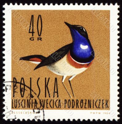 Bluethroat on post stamp
