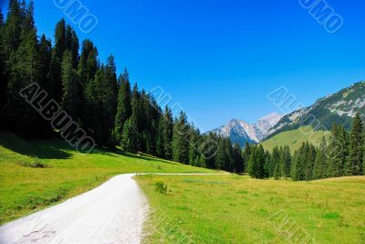 hiking trail nature