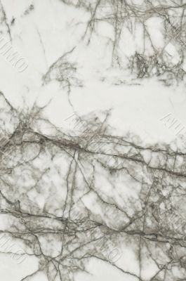 white marble texture background - High resolution scan