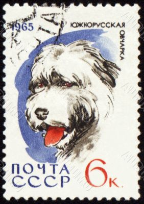 South Russian Shepherd Dog on post stamp
