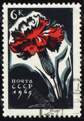 Red carnation flower on post stamp