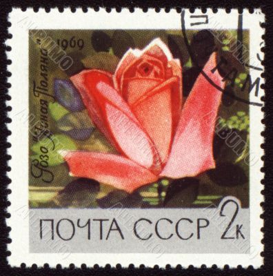 Red rose on post stamp