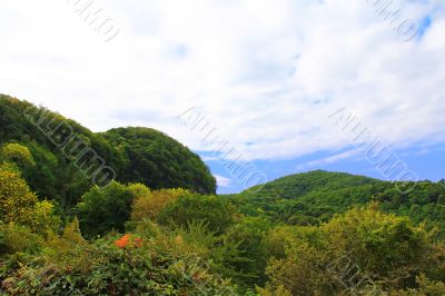Summer landscape with Caucasus green mountains
