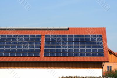 solar plants on the roof