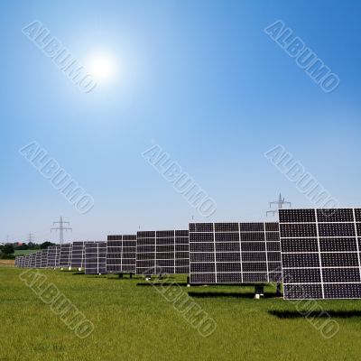 solar plants in the rows