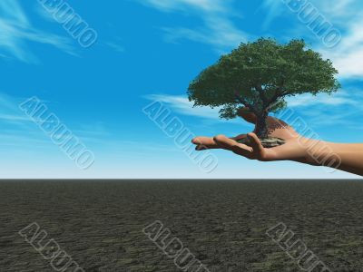 ecology