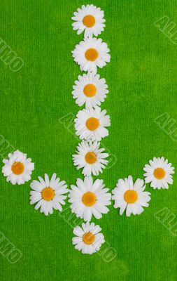 Daisywheels in the manner of arrows