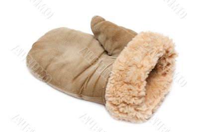 Winter mitten
