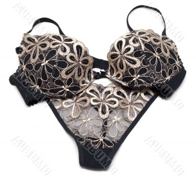 Kit of the feminine underclothes