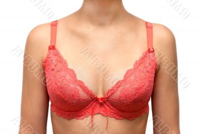 Bust of the young girl in red bra