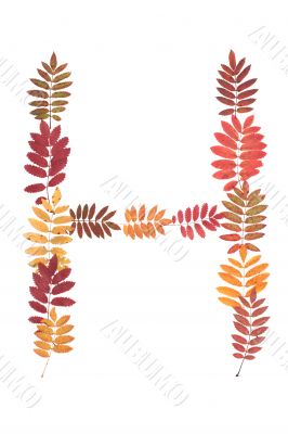 Letter of the alphabet H