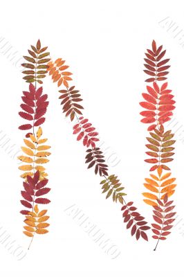 Letter of the alphabet N