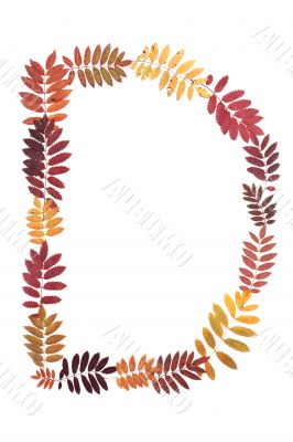 Letter D from alphabet