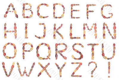 Alphabet from autumn sheet
