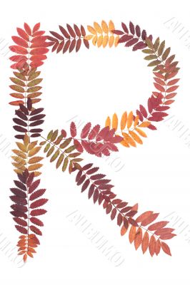 Letter of the alphabet R