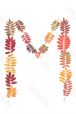 Letter of the alphabet M