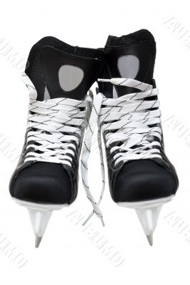 Skates hockey