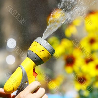 Watering Flowers