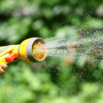 Watering Flowers