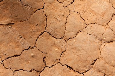 Dry crackinged land Thailand