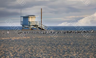 Venice Beach in California