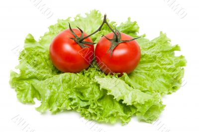 Two ripe tomatoes on sheet of the salad