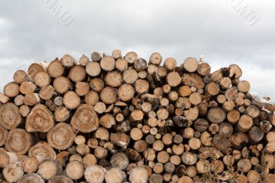 Firewood put in heap