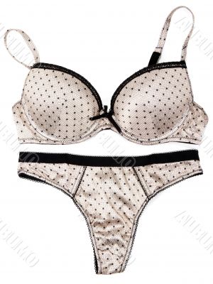 Kit from feminine underclothes