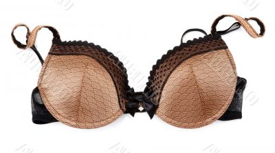 Brown bra with golden briliance
