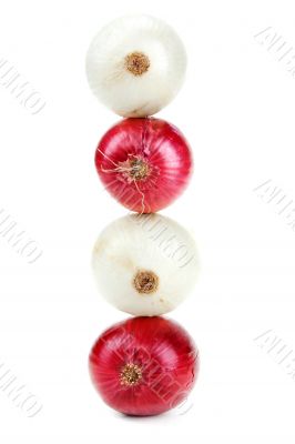 Light and blue onion stand in row in the manner of spa