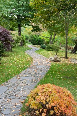 Path from stone in autumn park