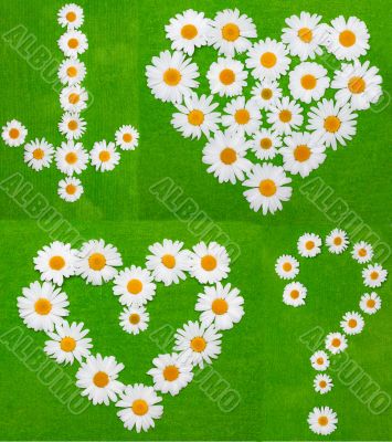 Daisywheels on green background 