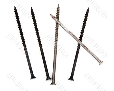 Building screws and rusty nail