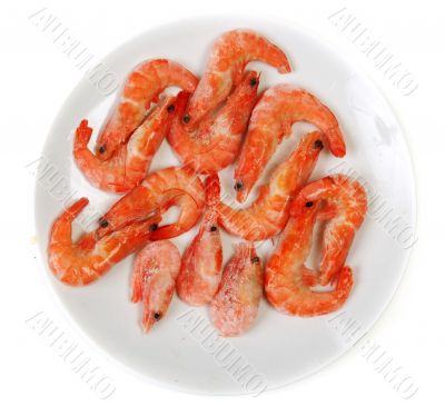 Plate frozen prawns