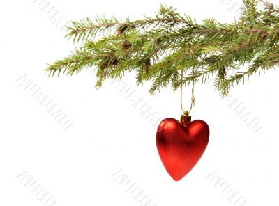 Branch ate a Christmas ornament