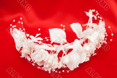 Bride`s wreath