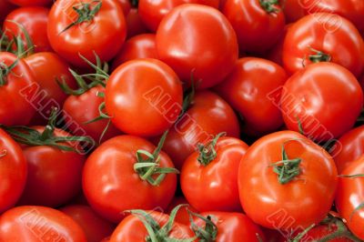 Red ripe tomatoes
