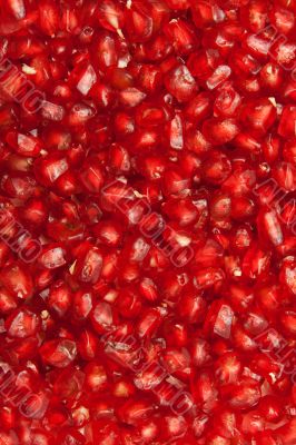 Background of red  seeds