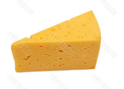 Piece of fresh cheese